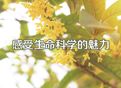 西安交大附中第2届生物学科节